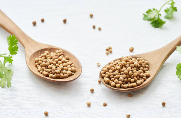 قیمت خرید تخم گشنیز خوش طعم با فروش عمده